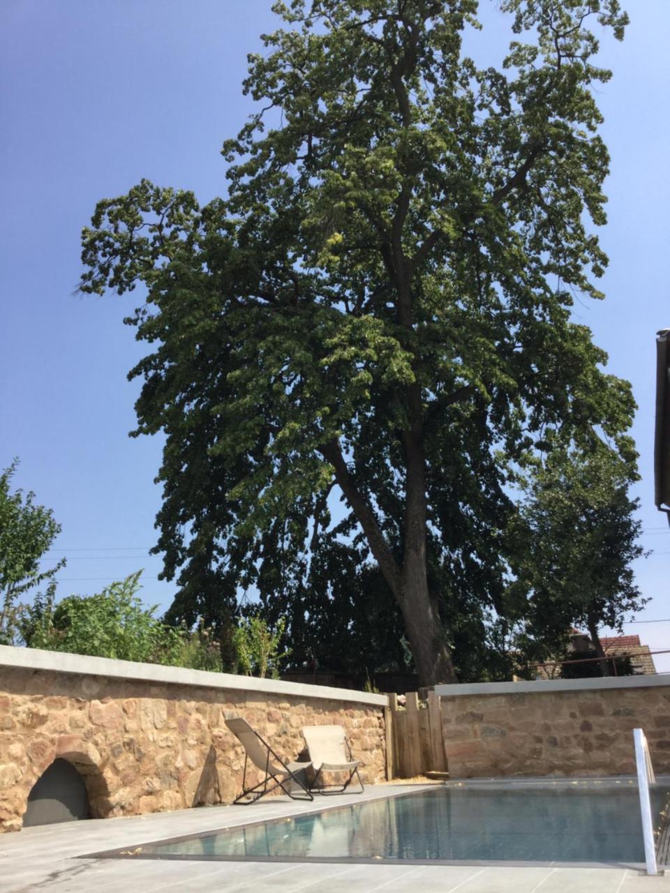 La Bonneterie Otel Andlau-au-Val Dış mekan fotoğraf